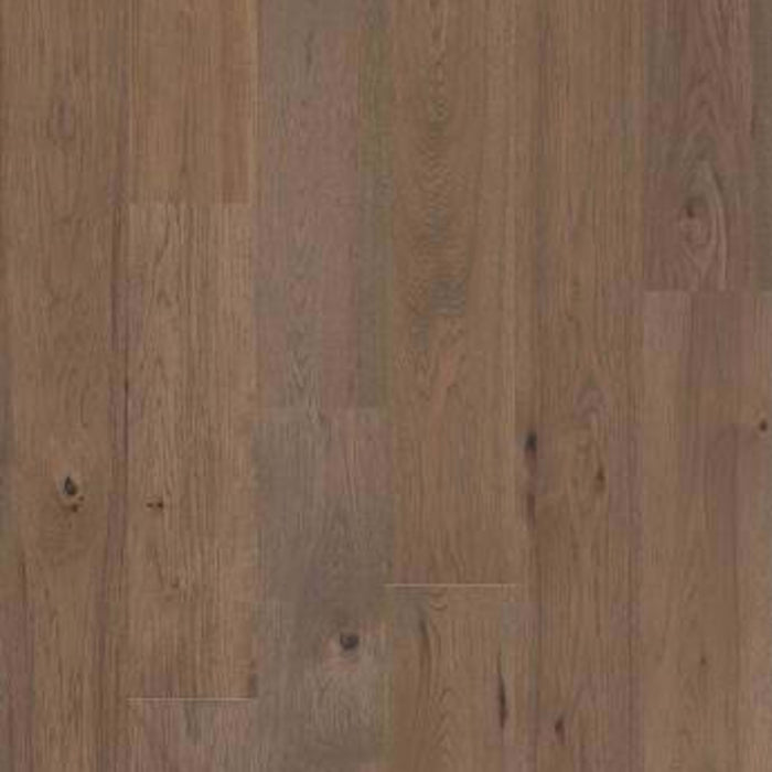 GRAND TETON in Mushroom Hardwood