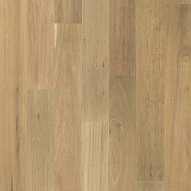 BIGHORN SMTH in Grove Smooth Hardwood