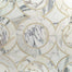 MJ Star in Calacutta With Crema Marfil Line  Calacutta Circle Natural Stone