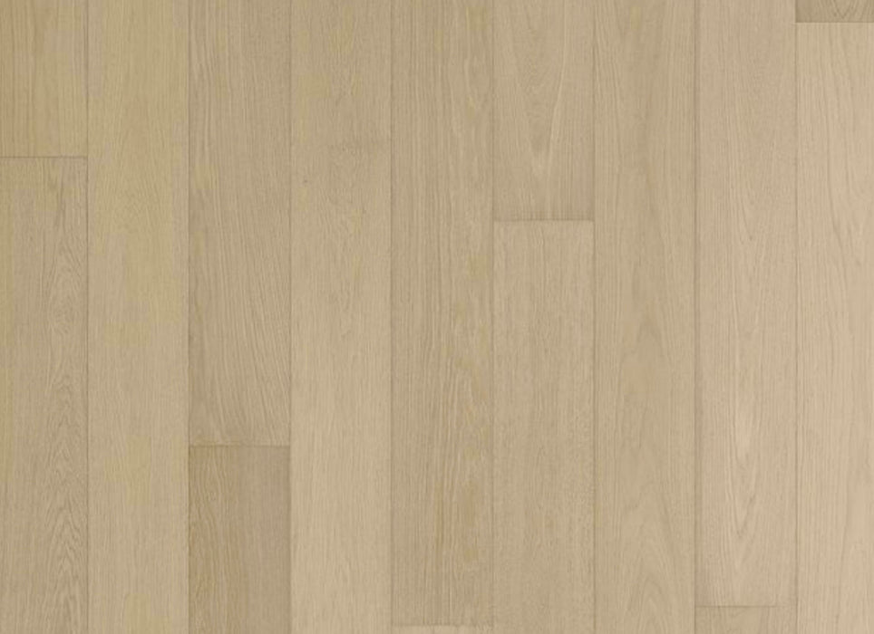 Modern Living Collection in Manhattan