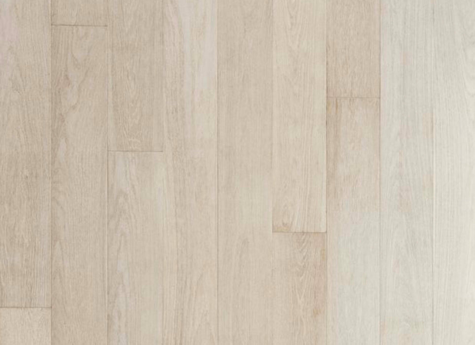 Modern Living Collection in South Beach