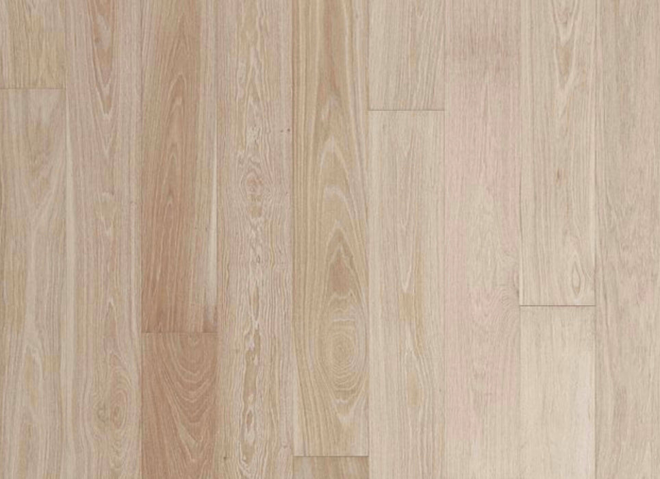 Modern Living Collection in Manalapan