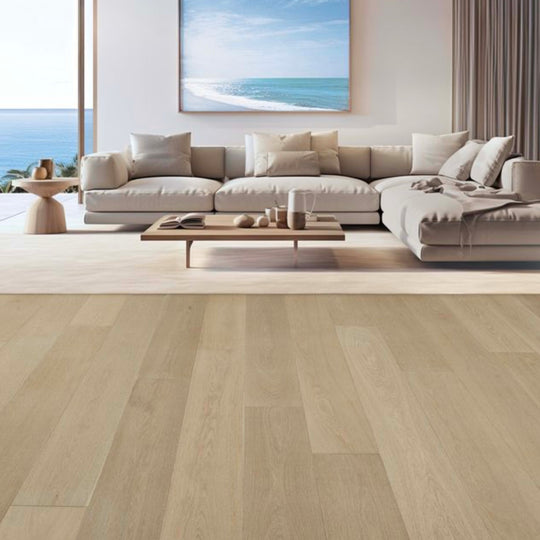 Modern Living Collection in Nocatee