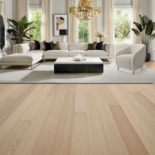 Modern Living Collection in Hamptons