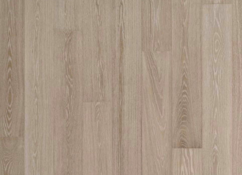 Modern Living Collection in La Jolla