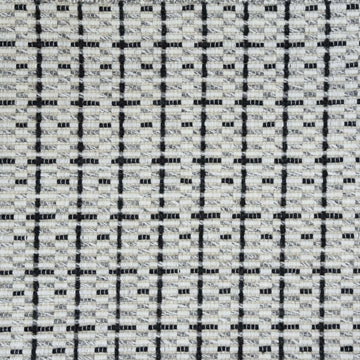 Domino
