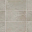 Scripter in Mentor 12x24 Tile