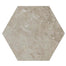Scripter in Mentor Hex Tile