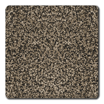 Bark