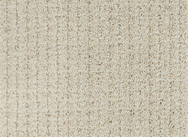 Mindful in Sunlit Carpet