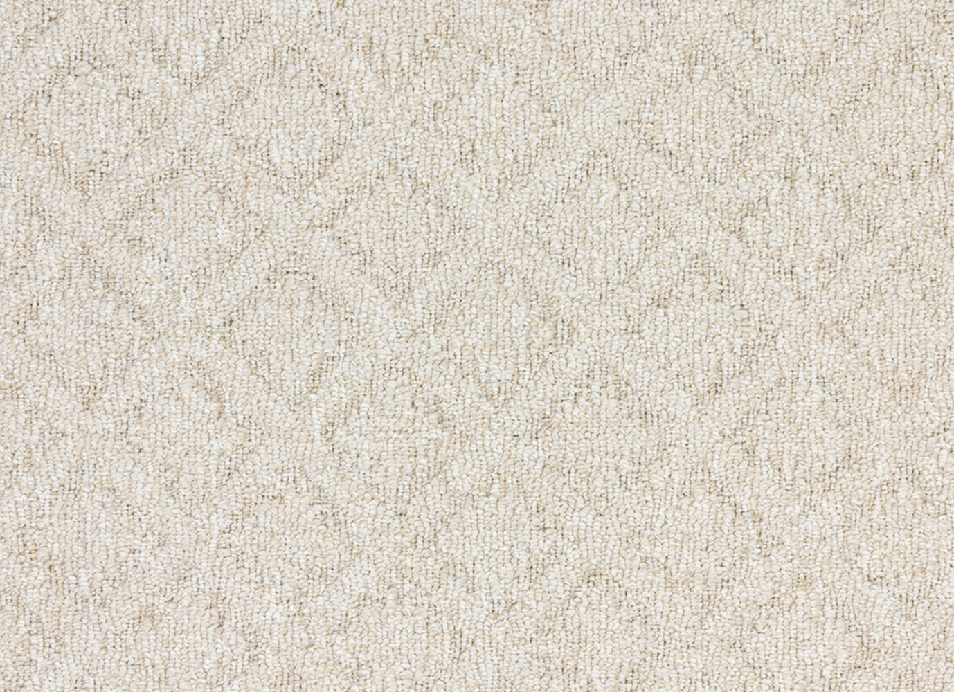 Mojave in Topography Carpet