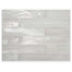 Montage - Chroma in Chroma 2x12 Silk Metallic Glass Tile