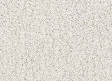 Monterey in Presidio Carpet