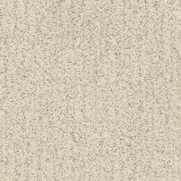Sea Wall
