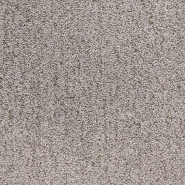 Seal Grey