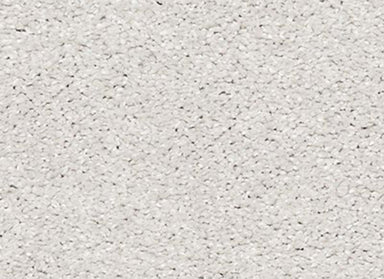 Lavish Attraction in Mountain Mist Carpet