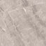 Nambia in Polished Taupe 12x24 Tile