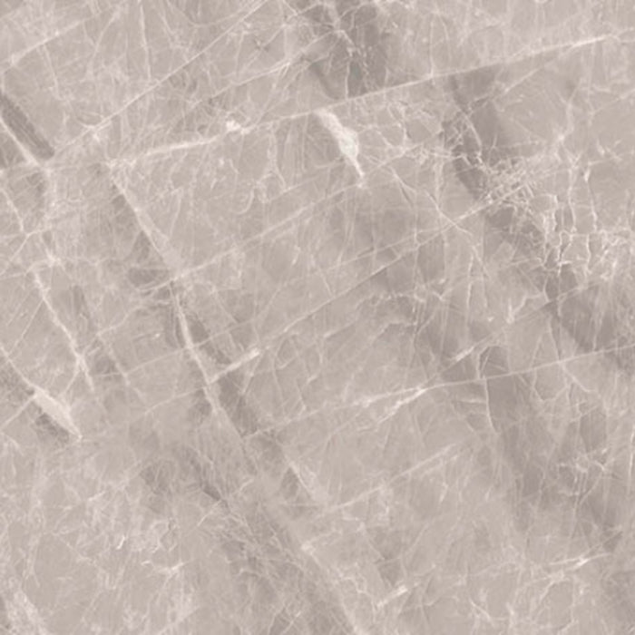 Nambia in Polished Taupe 12x24 Tile