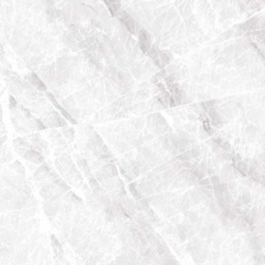 Nambia in Polished White 12x24 Tile