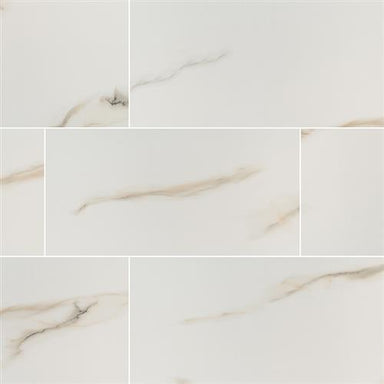 Aria in Bianco - 24x48 Tile