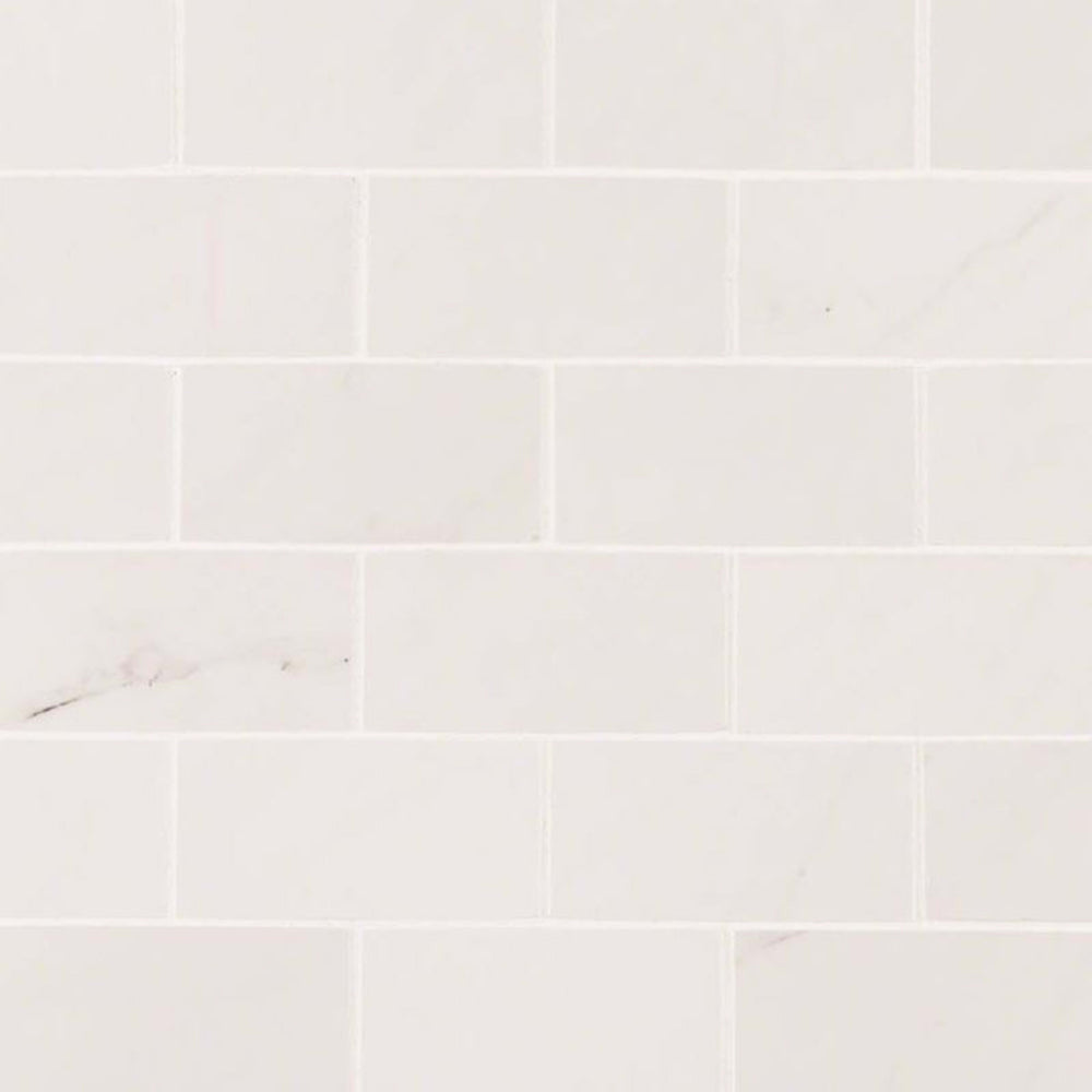 Aria in Ice - 2x4 Tile