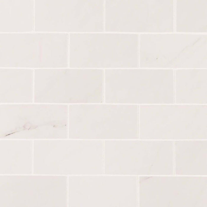 Aria in Ice - 2x4 Tile