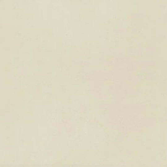 Neoconcrete in White-12x24-Light Polished