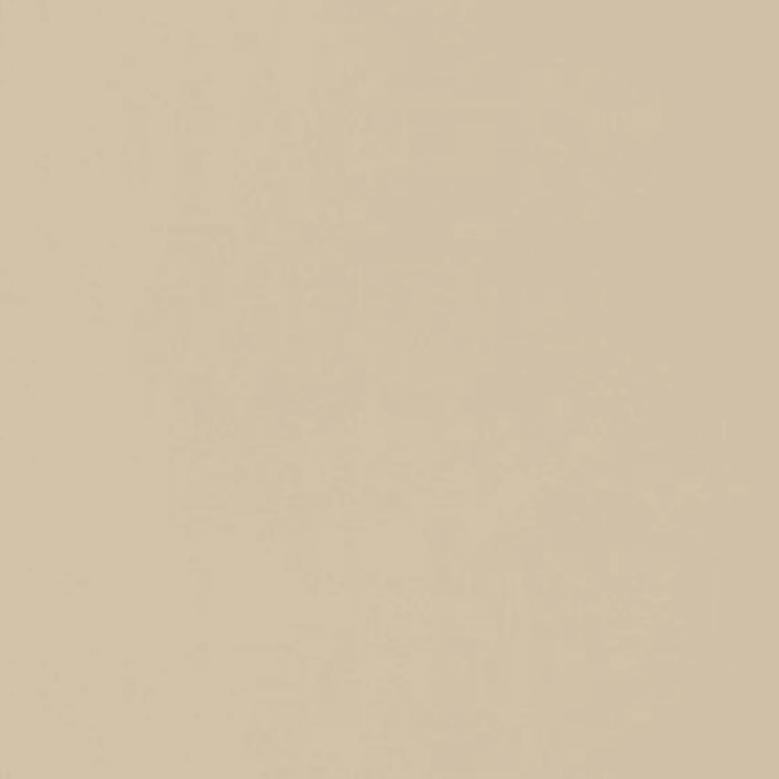 Neoconcrete in Beige-24x24-Light Polished Tile