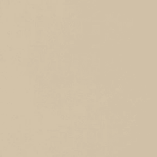 Neoconcrete in Beige-24x24-Matte