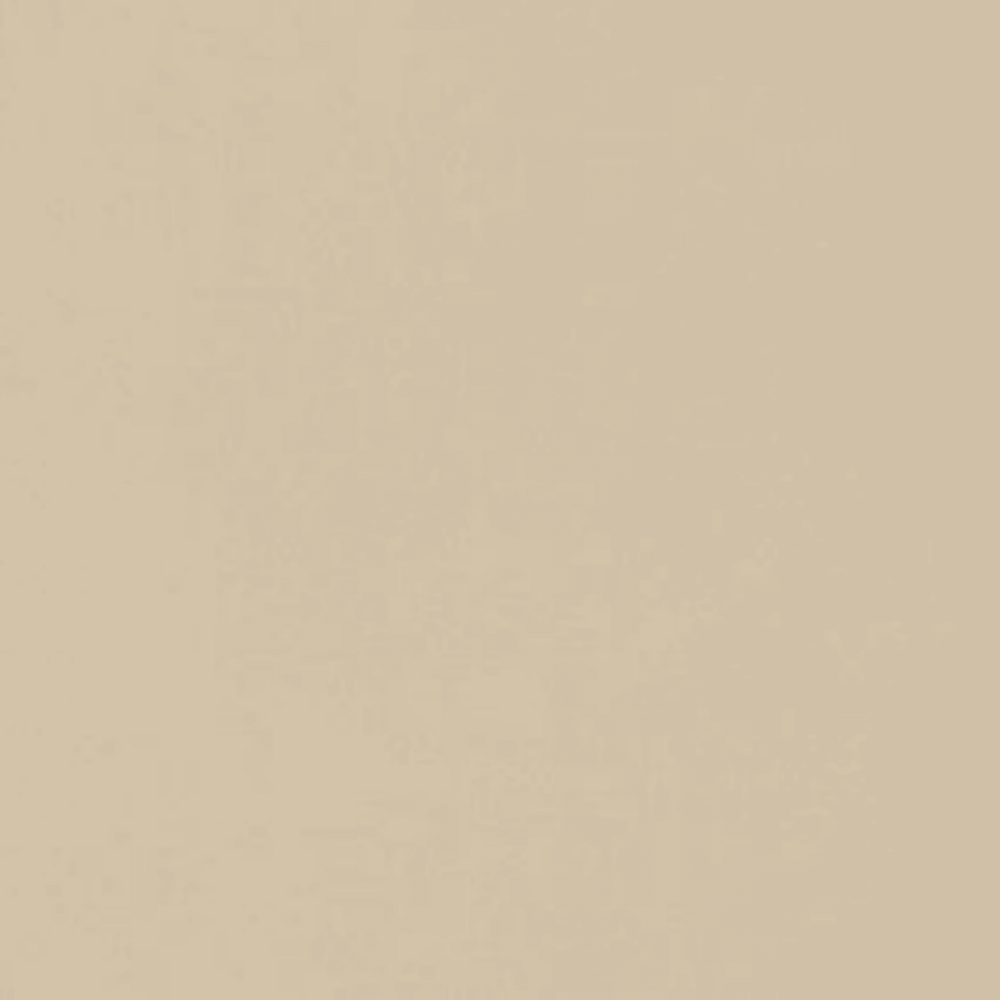 Neoconcrete in Beige-12x24-Matte Tile