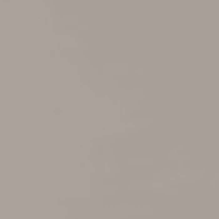 Neoconcrete in Light Gray-12x24-Light Polished Tile