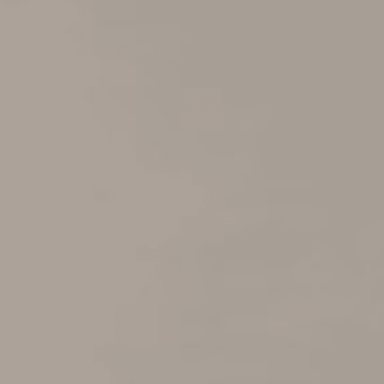 Neoconcrete in Light Gray-24x24-Matte Tile