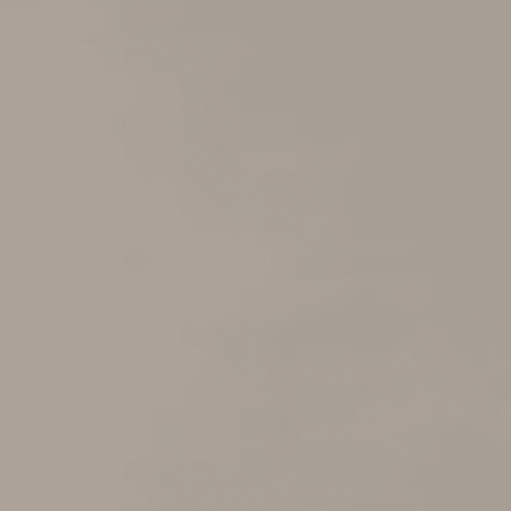 Neoconcrete in Light Gray-24x24-Light Polished Tile