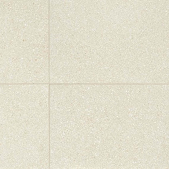 Neospeck in White-12x24-Light Polished Tile