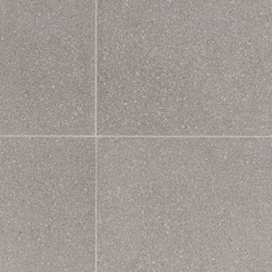 Neospeck in Light Gray-12x24-Light Polished Tile