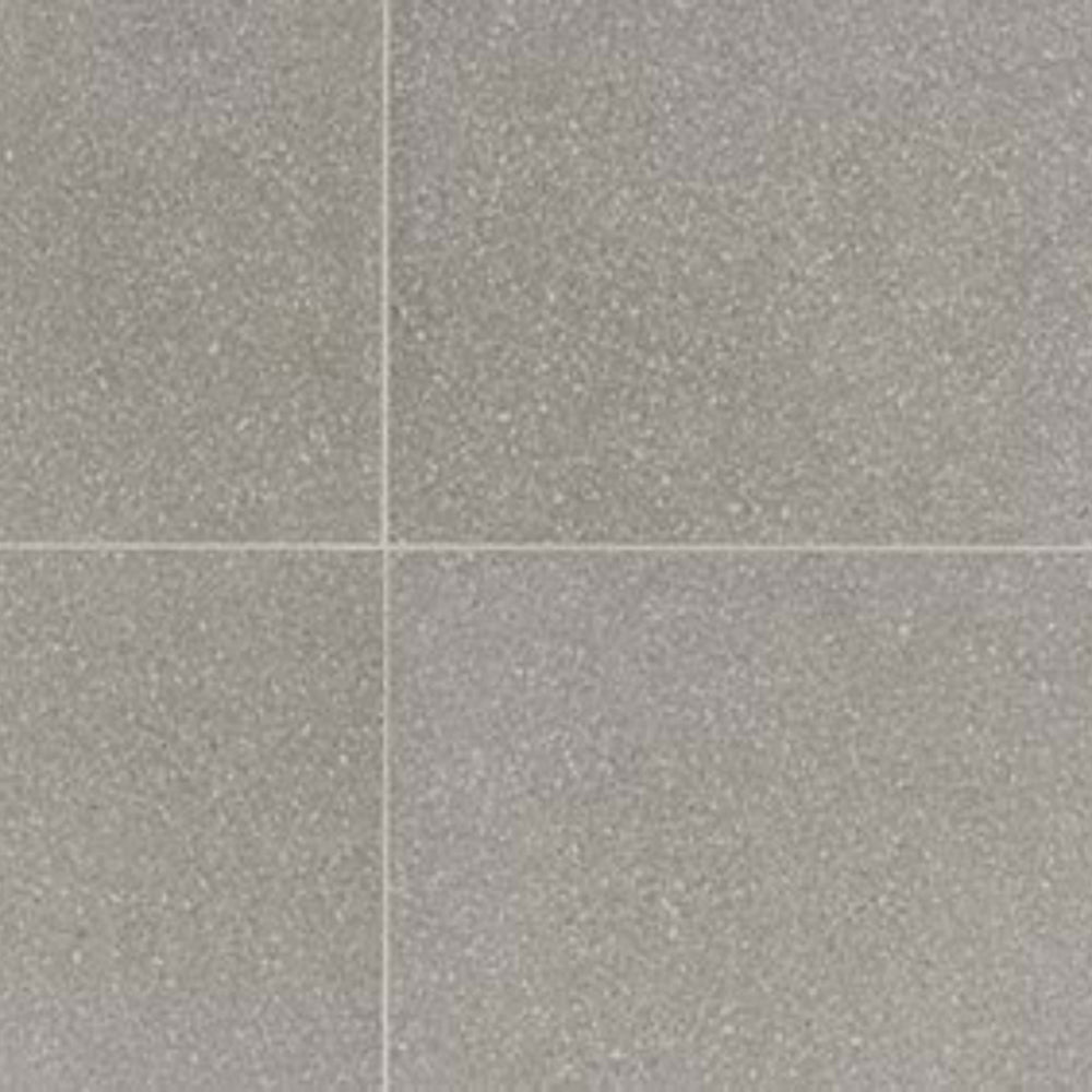 Neospeck in Light Gray-24x24-Light Polished Tile