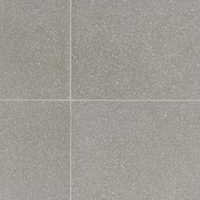 Neospeck in Light Gray-24x24-Light Polished Tile