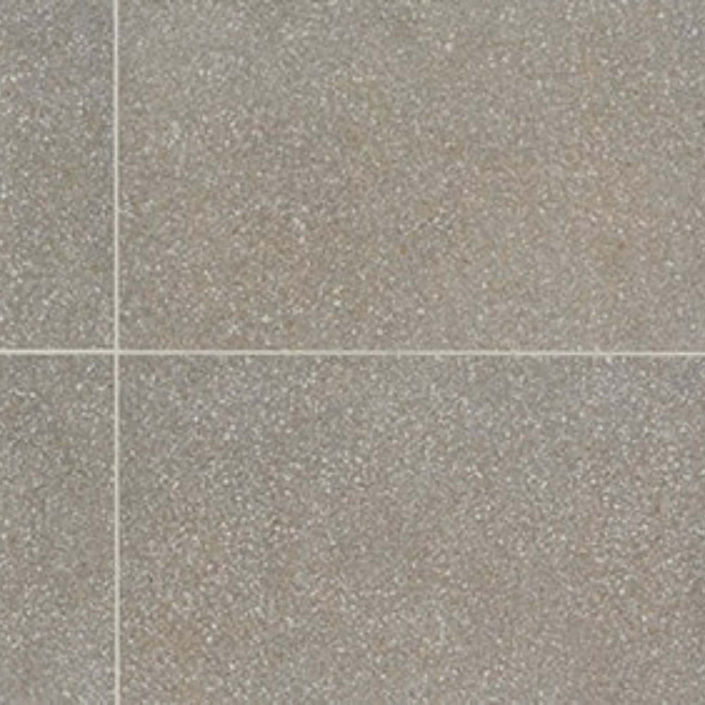 Neospeck in Medium Gray-12x24-Matte Tile