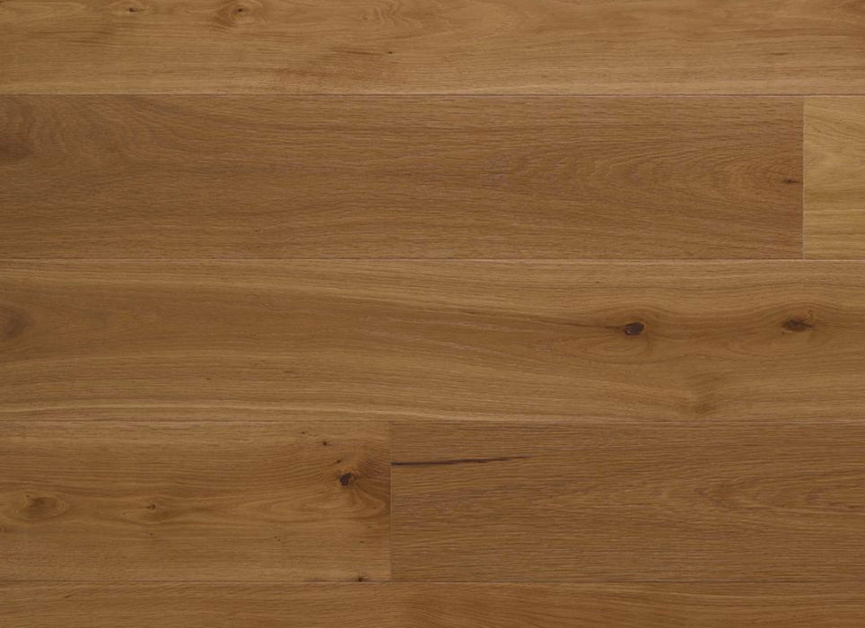 New Reserve Collection in Tawny