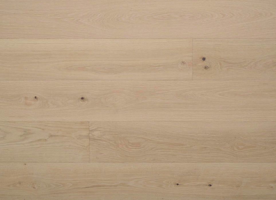 New Reserve Collection in Dahlia