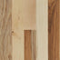 Natural Forest Hickory Solid in Country Natural 5" Hardwood