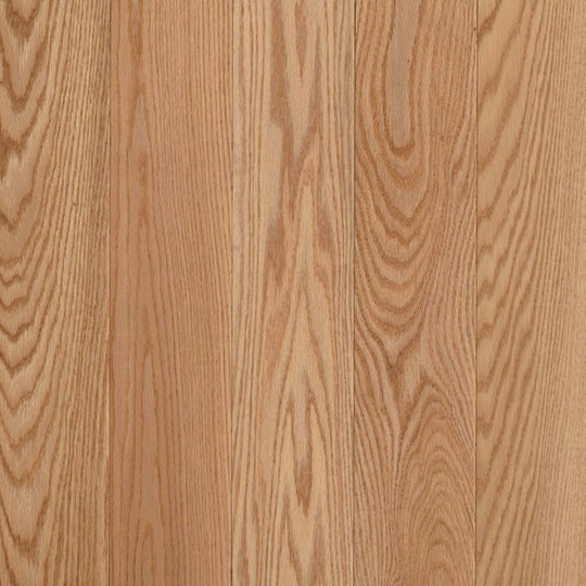 Natural Forest Oak Solid in Natural 3.25"