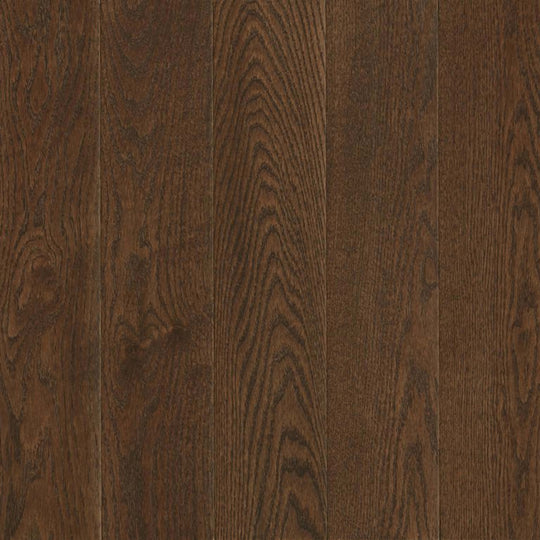 Natural Forest Oak Solid in Tudor Brown 3.25"