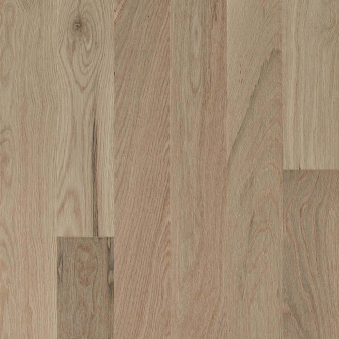 Natural Forest Oak Solid in Totally Tan 4" Hardwood