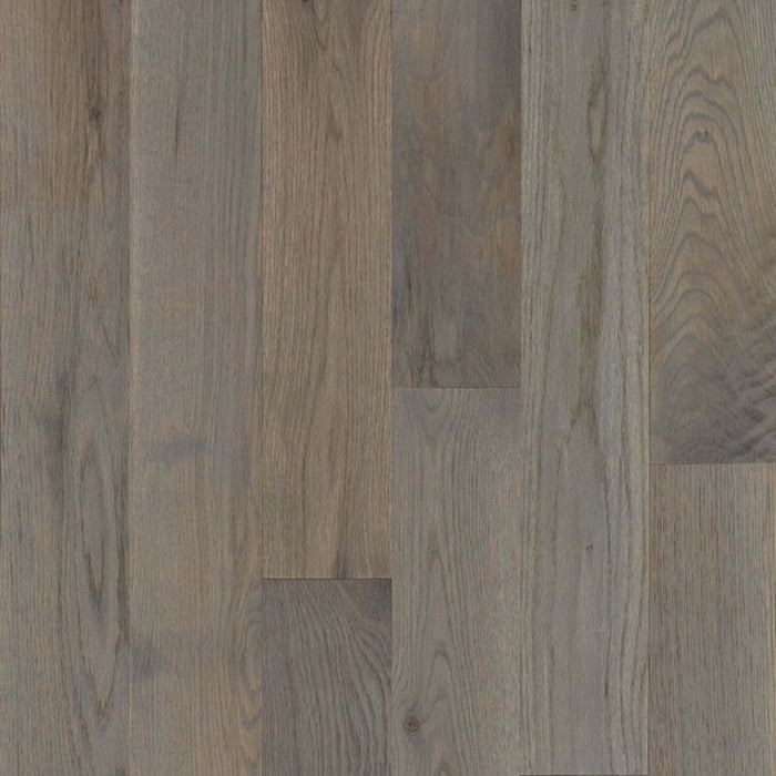 Natural Forest Oak Solid in Winter Neutral 4" Hardwood