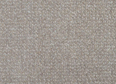 Nobility (cav) in Timber Carpet