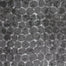Nostalgia in Graphite Carpet