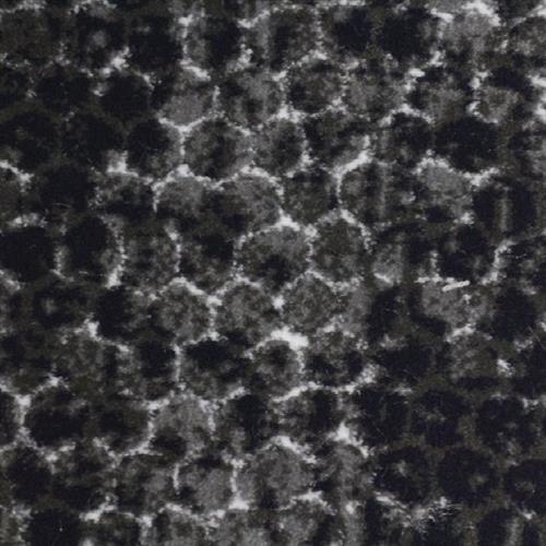 Nostalgia in Tarnished Carpet