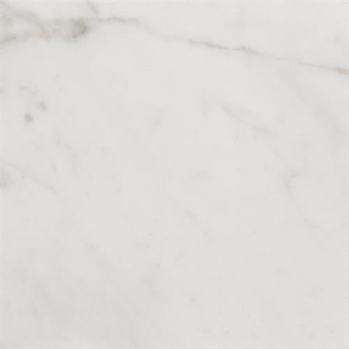 Nova in Golden Calacatta - 12x24 Tile