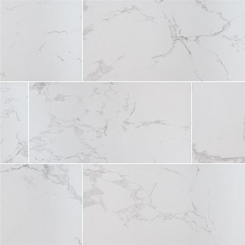 Praia in Carrara - 24x48 Polished Tile